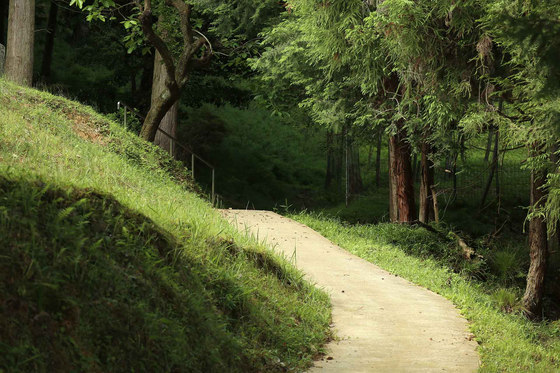 京都府福知山市の葛尾山福性寺の裏山の道