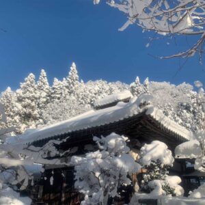 大雪で雪化粧した福性寺の本堂