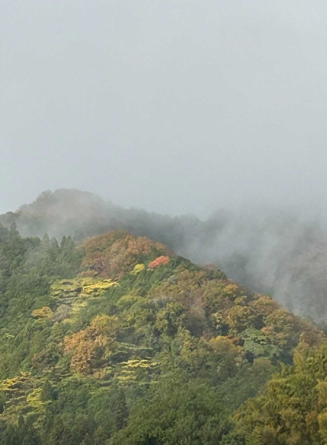 福知山の福性寺近くの紅葉に色づいた山の風景
